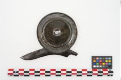 Foto von Bronzephalere (NHMW-PRAE-025077)